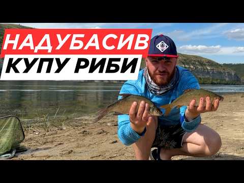 Видео: 🔥 Обідня Роздача Риби на Дністрі! Плотва та Лящ Йдуть Один за Одним 🎣