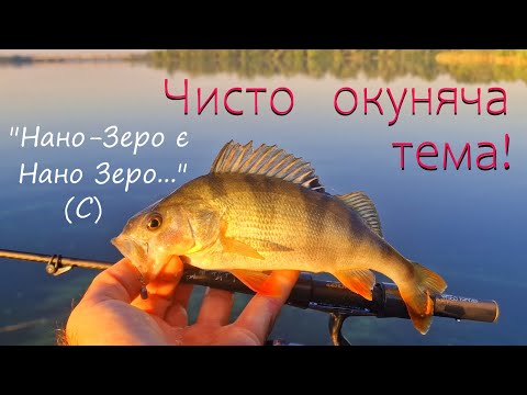 Видео: Crazy Fish Nano Zero Hit. Чисто окуняча тема!