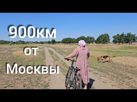 Видео: Я вам объясню, зачем пенсионеры копят пенсию и едут в круизы на теплоходе