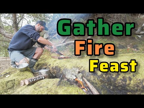 Видео: Нет еды — нет выбора. Готовим моллюсков на огне 🔥