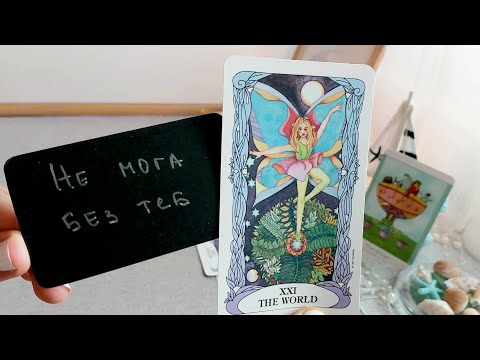 Видео: 🤍🦋💙Развитие на отношенията ви с него/нея - през следващите 7 дни💙🦋🤍