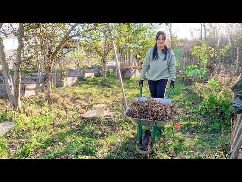 Видео: Време е да напълним компостерите! Есенно почистване на градината.