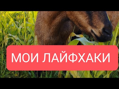 Видео: МОИ ЛАЙФХАКИ ДЛЯ ХОЗЯЙСТВА