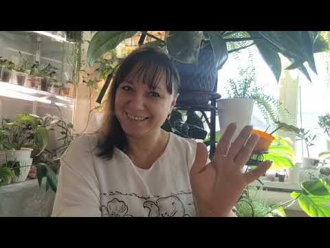 Видео: Цветочный разговор + обзорчик15.11.25