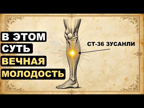 Видео: Мастер-точка ST-36 | Массируйте ежедневно и почувствуйте бесконечную жизненную энергию