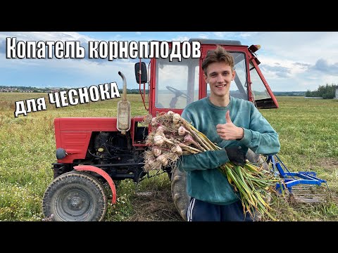 Видео: Копатель корнеплодов для чеснока | Уборка урожая 2023 года