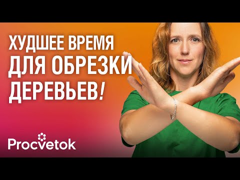 Видео: НЕ ВЗДУМАЙТЕ ОБРЕЗАТЬ ДЕРЕВЬЯ ОСЕНЬЮ пока не посмотрите это видео! Когда обрезать плодовый сад?