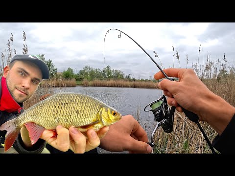 Видео: Монстри Червонопірки! Мормишинг 2024. Риболовля на Спінінг