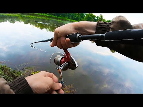 Видео: Воблер Удивляет! Судак и щука на спиннинг, на реке Клязьма, летом