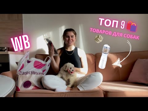 Видео: ТОП 9 товаров для щенка с WB 🛍️