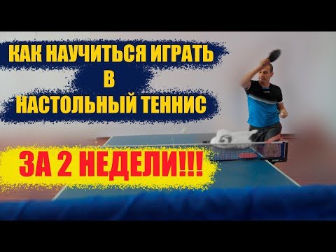 Видео: КАК НАУЧИТЬСЯ ИГРАТЬ В НАСТОЛЬНЫЙ ТЕННИС ЗА 2 НЕДЕЛИ. НАСТОЛЬНЫЙ ТЕННИС ДЛЯ НАЧИНАЮЩИХ.
