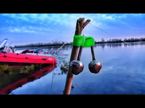 Видео: ЛОВЛЯ НАЛИМА ВЕСНОЙ НА ДОНКИ!!! РЫБАЛКА С НОЧЁВКОЙ НА ДИКОМ БЕРЕГУ