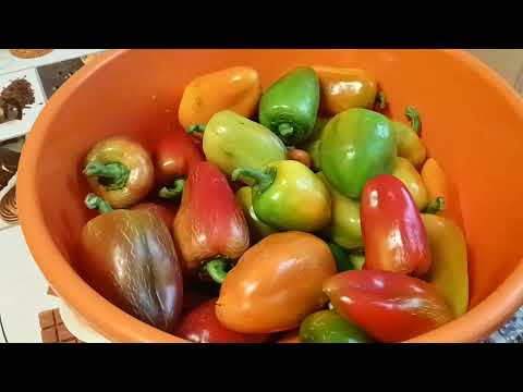 Видео: Заготовки: Перец фаршированный/ Жареный перец чищенный/ Ленивые голубцы