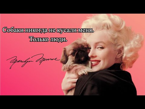 Видео: МЭРИЛИН МОНРО: питомцы Мэрилин//Жизнь звезды вне съемок