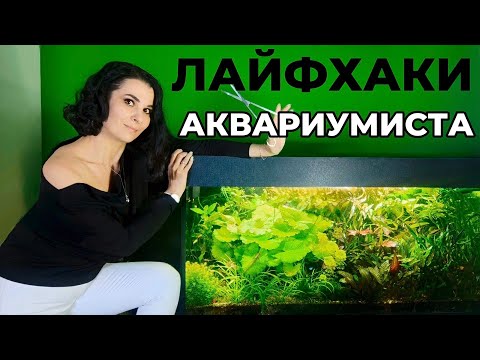 Видео: Лайфхаки аквариумиста. Уход за аквариумом.