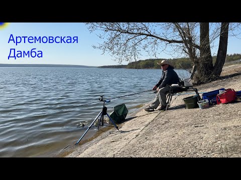 Видео: 🐟🐟 ПОПАЛИ НА КЛЕВ ИКРЯНОЙ ПЛОТВЫ! / Артемовская дамба / Печенежское водохранилище 🐟🐟