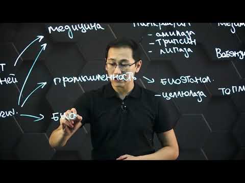 Видео: Применение ферментов в медицине, химии и промышленности. 11 класс.