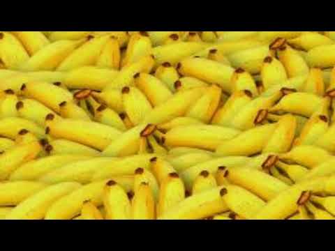 Видео: тони дачева и оркестър кристал-3 кила банани (Lirycs)