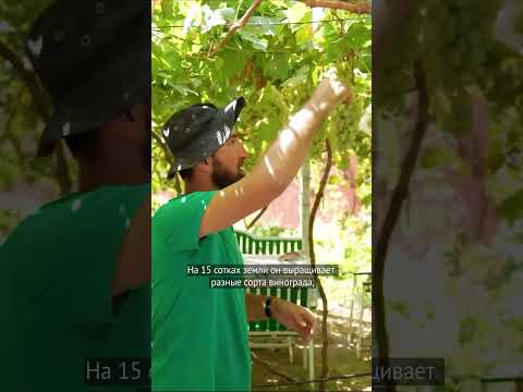 Видео: 5 сентября 2025 г.