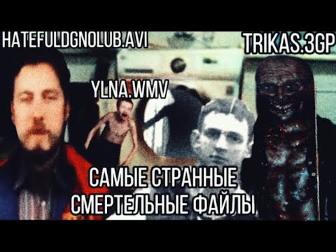 Видео: Самые странные, глупые и идиотские Смертельные Файлы! || Hatefuldgnolub.avi\Ylna.wmv\trikas.3gp