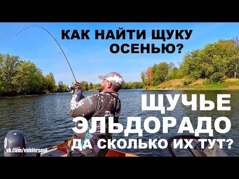 Видео: Щучье Эльдорадо! Как найти Щуку Осенью? Спиннинг на Реке. Джиг из под Бели.
