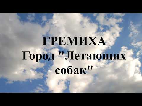 Видео: #Гремиха#ГородЛетающихСобак#New