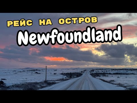 Видео: Нюфаундленд. Паром, Природа, Зима и Дальнобой