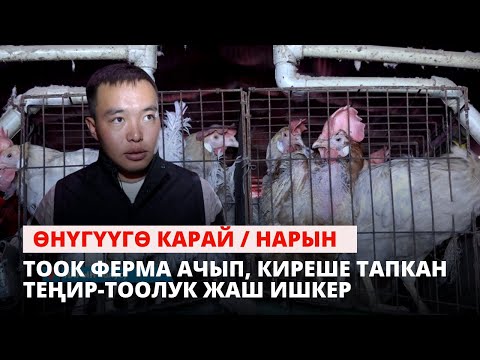 Видео: Тоок ферма ачып, киреше тапкан Теңир-Тоолук жаш ишкер | Өнүгүүгө карай