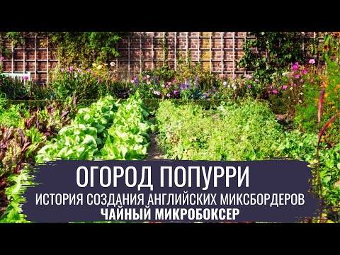 Видео: Огород попурри \ Современный огород