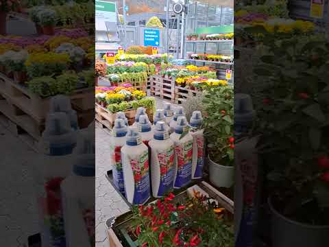 Видео: Поход за почвой... Исправляю ошибки на трассе.  ШВЕЙЦАРИЯ 