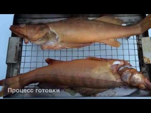 Видео: Судак горячего копчения