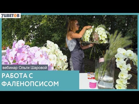 Видео: Каркасный букет с орхидеями| Как ухаживать за фаленопсисами? Вебинар Ольги Шаровой
