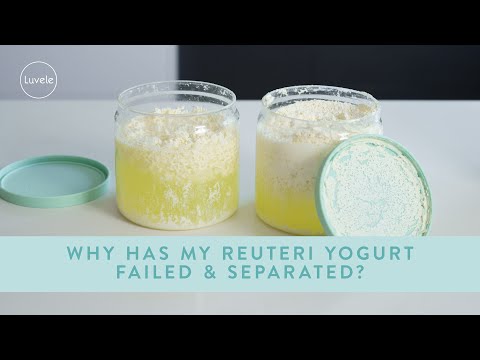 Видео: Почему мой йогурт Reuteri испортился и расслоился?