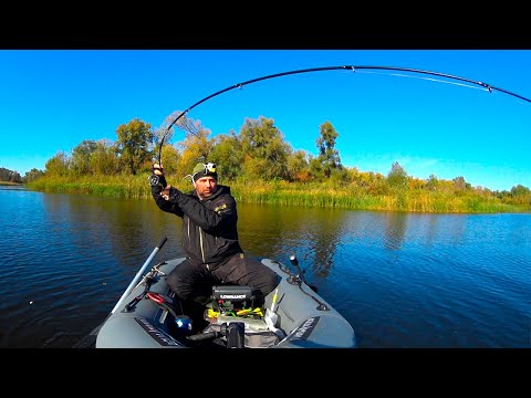 Видео: ТІЛЬКИ СІЛІКОН, ТІЛЬКИ ДЖИГ!  Рибалка на щуку восени, в жовтні! Щуки луплять як кувалди!