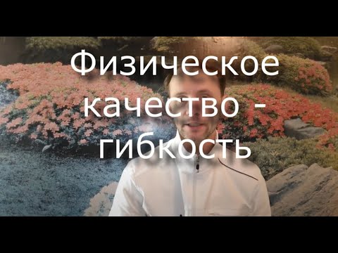 Видео: Гибкость - разбираем физическое качество