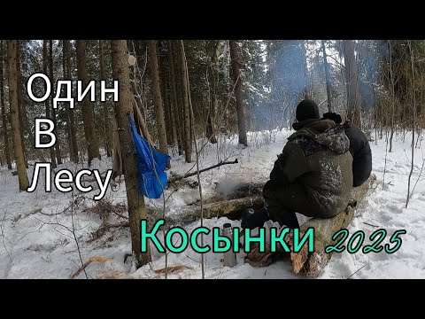 Видео: МОРОЗ - 20. ПОКЛЕВКА ЗА ПОКЛЕВКОЙ. РЫБАЛКА НА КОСЫНКИ 2025. ОДИН В ЛЕСУ.