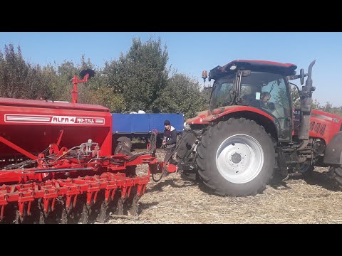 Видео: Продолжаем сеять. Идеальный посев, идеальный тандем. Альфа + Кейс 125