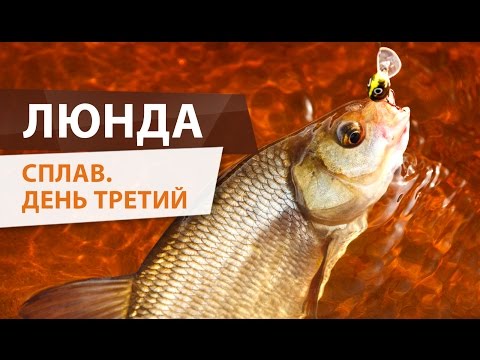 Видео: ОДИНОЧНЫЙ СПЛАВ по реке Люнда. ДУШЕВНАЯ рыбалка