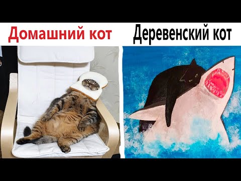 Видео: Приколы! 😱 ДОМАШНИЙ КОТ VS ДЕРЕВЕНСКИЙ КОТ! Смешные видео - Доми шоу!