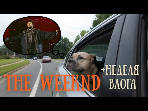 Видео: Тур The Weeknd "AFTER HOURS TIL DAWN" + неделя ВЛОГА : закупки, ветеринарка, болтаю о нас