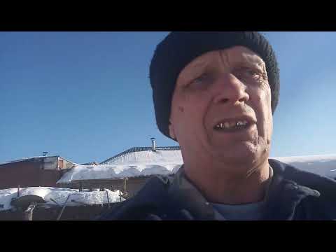 Видео: Расчищаем место для выставки пчелосемей .