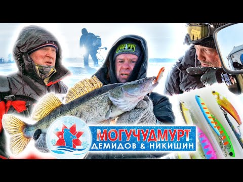 Видео: КАК НАЛОВИТЬ СУДАКА в середине зимы?! Тест новых цветов приманок. Смотри и без улова не останешься!