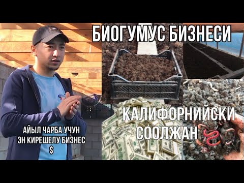 Видео: СООЛЖАН САТЫП АЛВАТКАНДА ЭМНЕГЕ КОНУЛ БУРУ КЕРЕК БИОГУМУС БИЗНЕСИ $$$