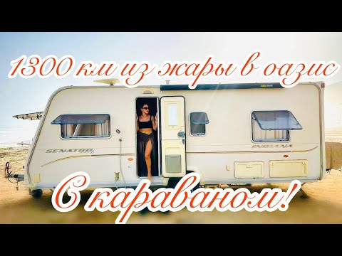 Видео: Из ОАЭ в Салала (Оман) с караваном