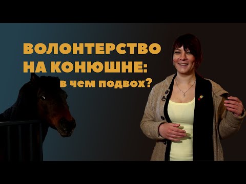 Видео: Волонтерство на конюшне: в чем подвох?