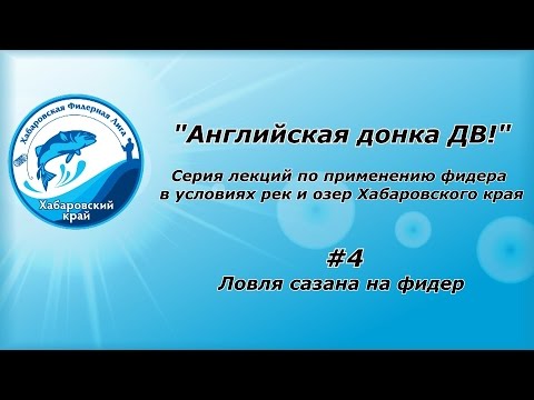 Видео: Английская донка ДВ! #4 Ловля сазана на фидер