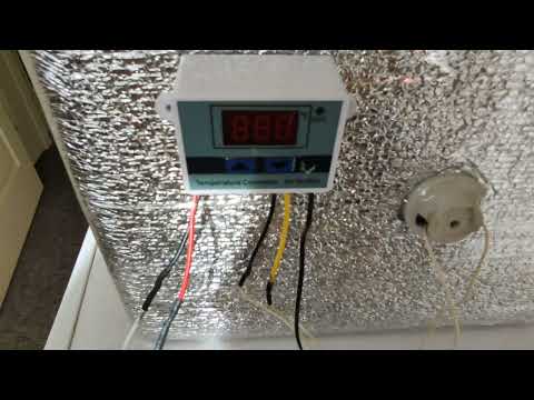 Видео: Простейший ферментатор для табака с терморегулятором с Алиэкпресс