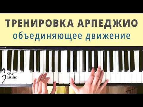 Видео: Арпеджио на фортепиано - 4 шага | Упражнение для начинающих пианистов