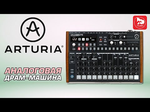 Видео: Аналоговая драм-машина ARTURIA DRUMBRUTE