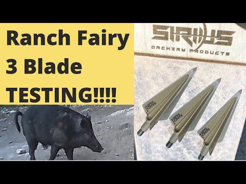 Видео: Тест на свинью Ranch Fairy с тремя лезвиями